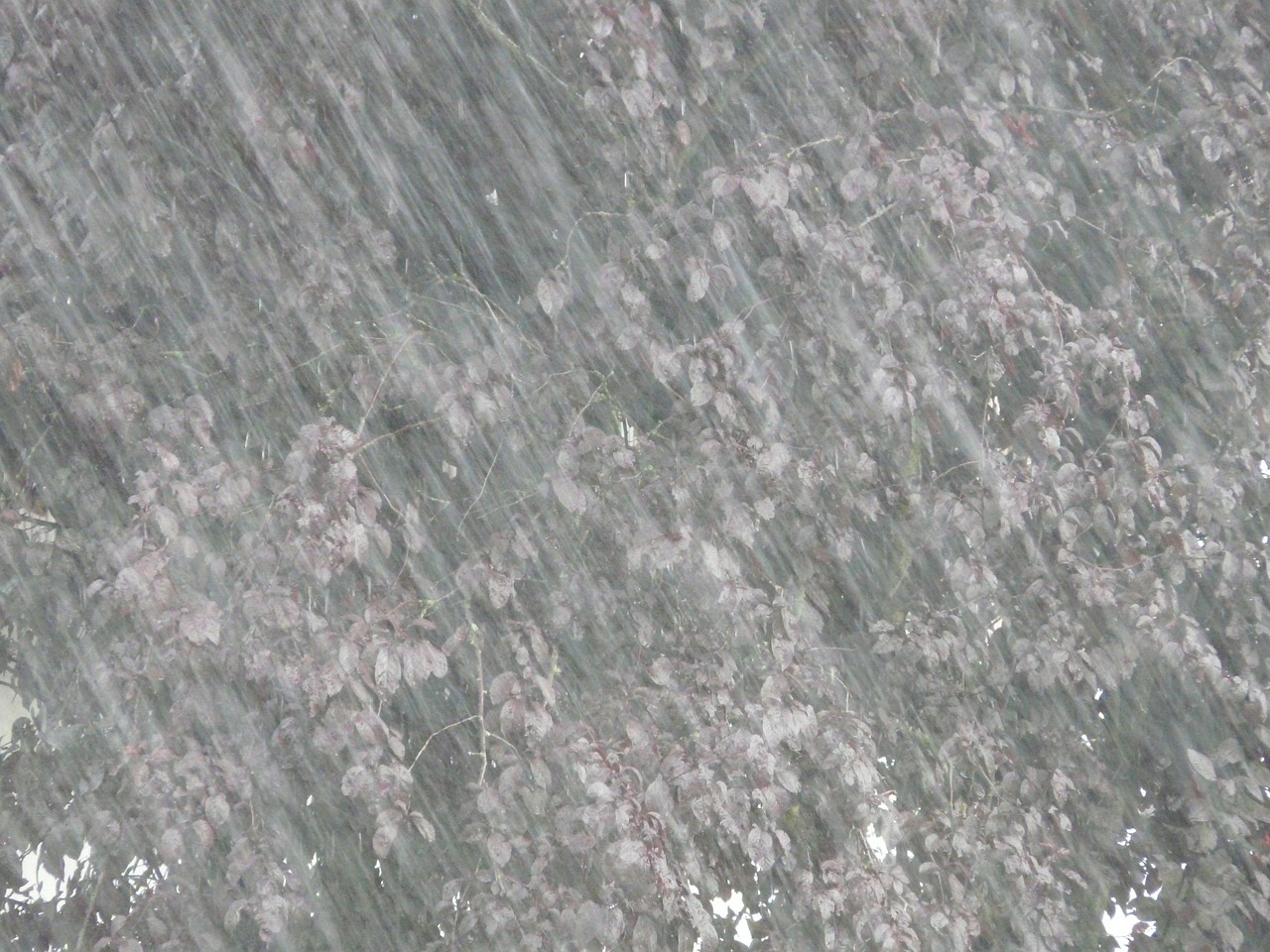 全国暴雨洪灾最新情况及分析报告
